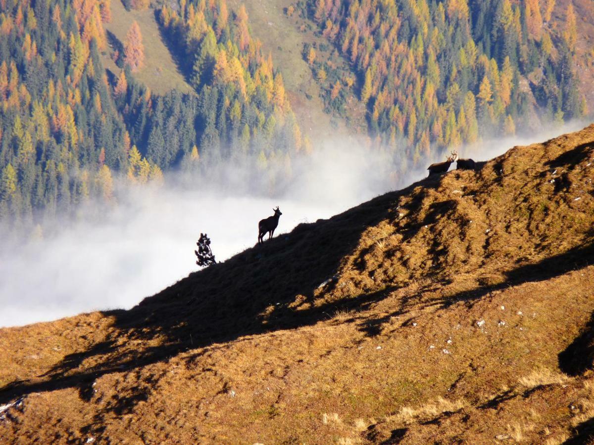 Apart Alpenflair Наудерс Экстерьер фото